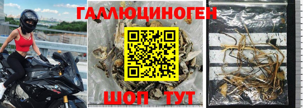 Краснокаменск  Галлюциногенные грибы Magic Shrooms  Вход с VPN  Псилоцибиновые грибы GOLDEN TEACHER 